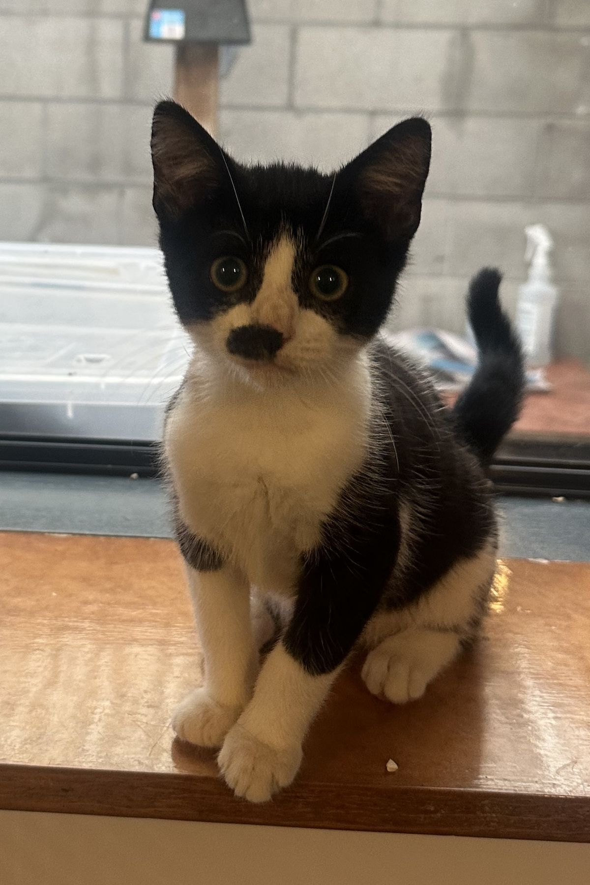 Gallery image: Charles 