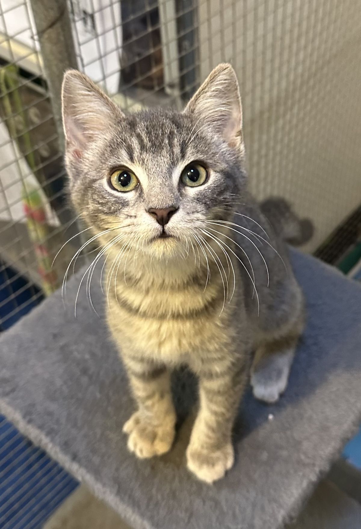 Gallery image: Rocketman 