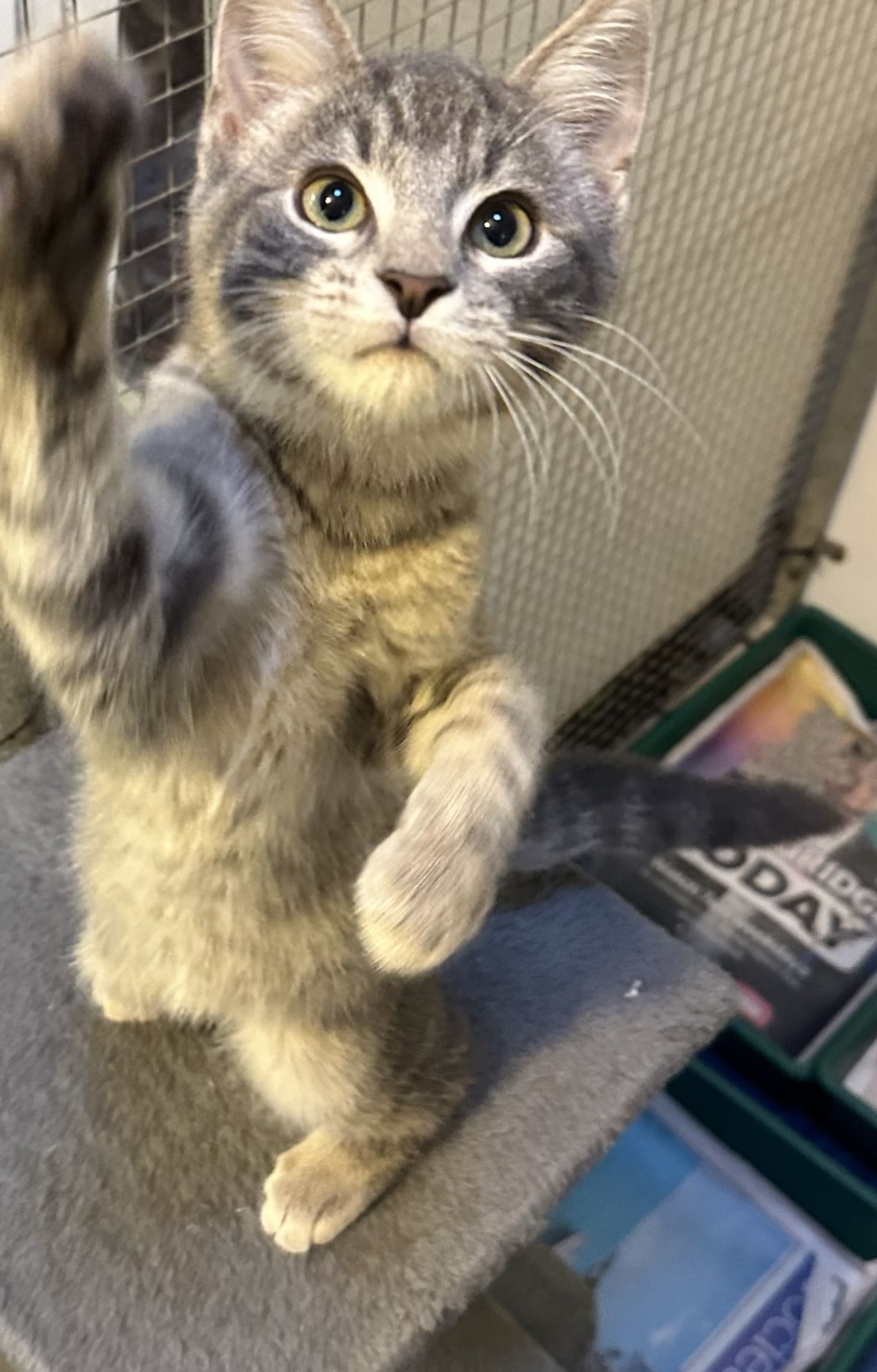 Gallery image: Rocketman 