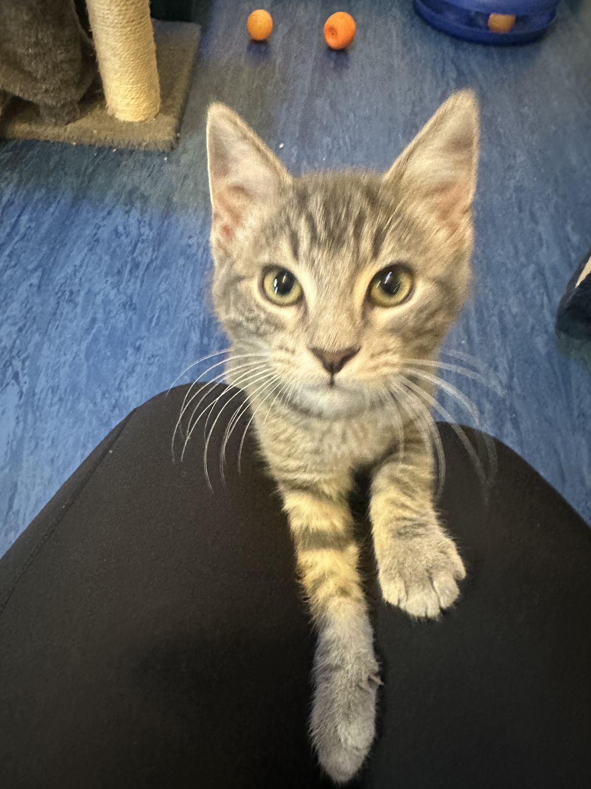 Gallery image: Rocketman 