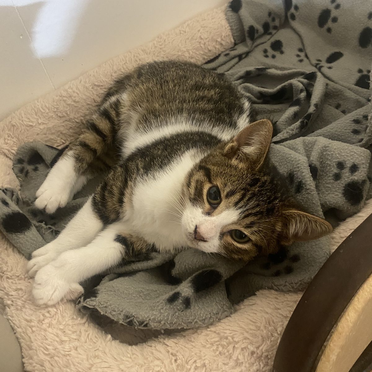 Gallery image: Patrick