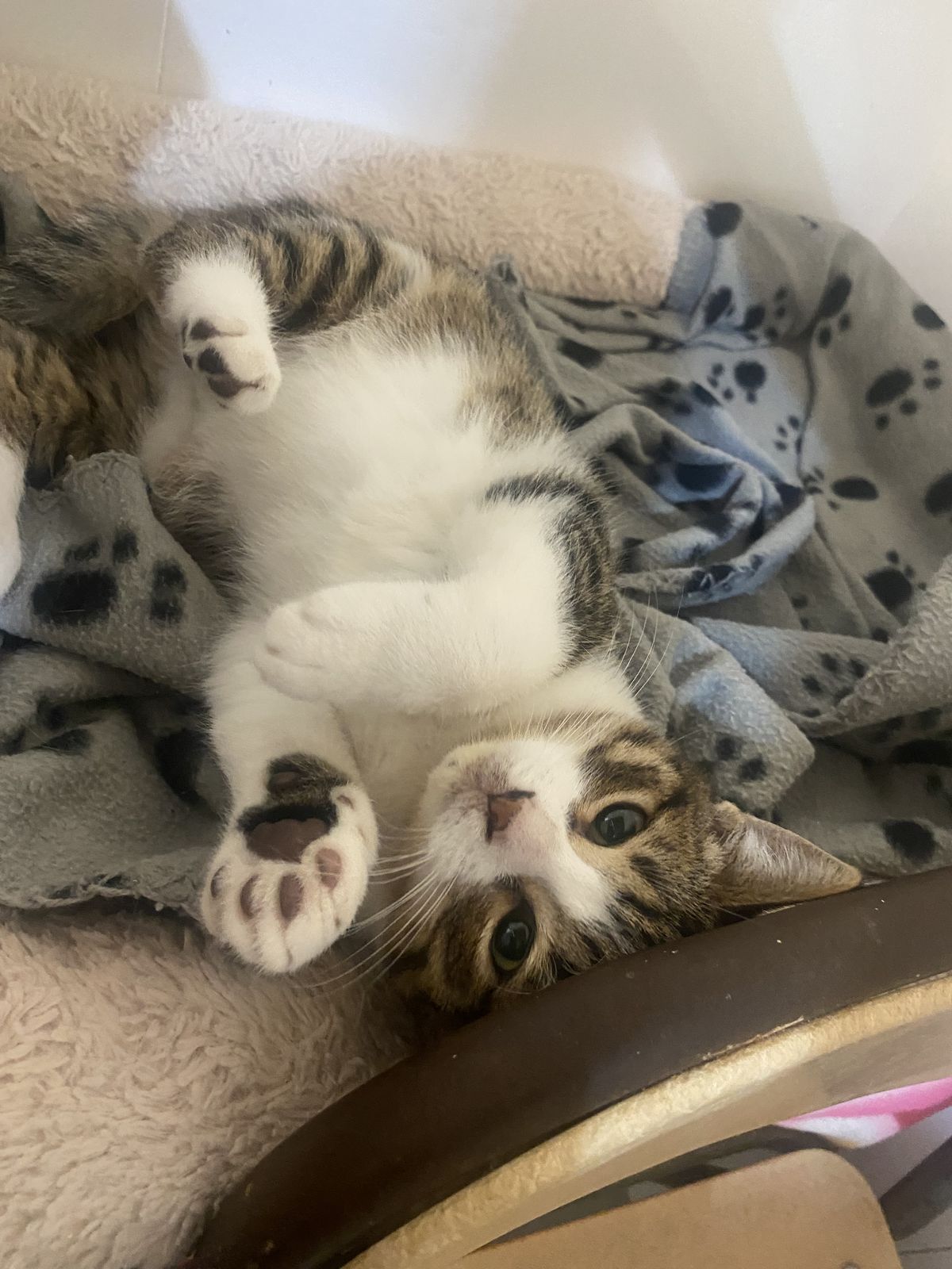 Gallery image: Patrick