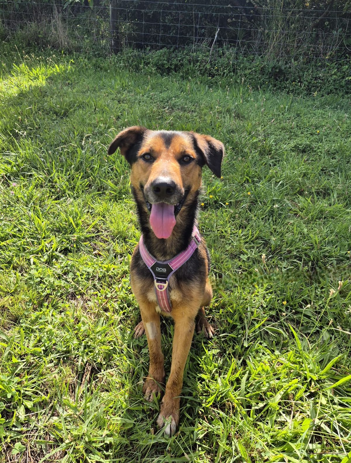 Gallery image: Diego