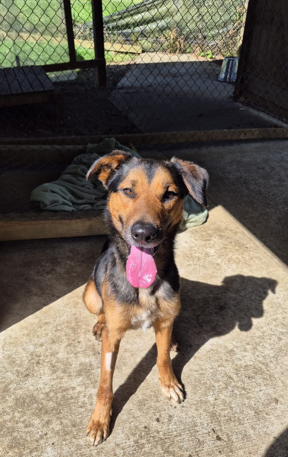 Gallery image: Diego