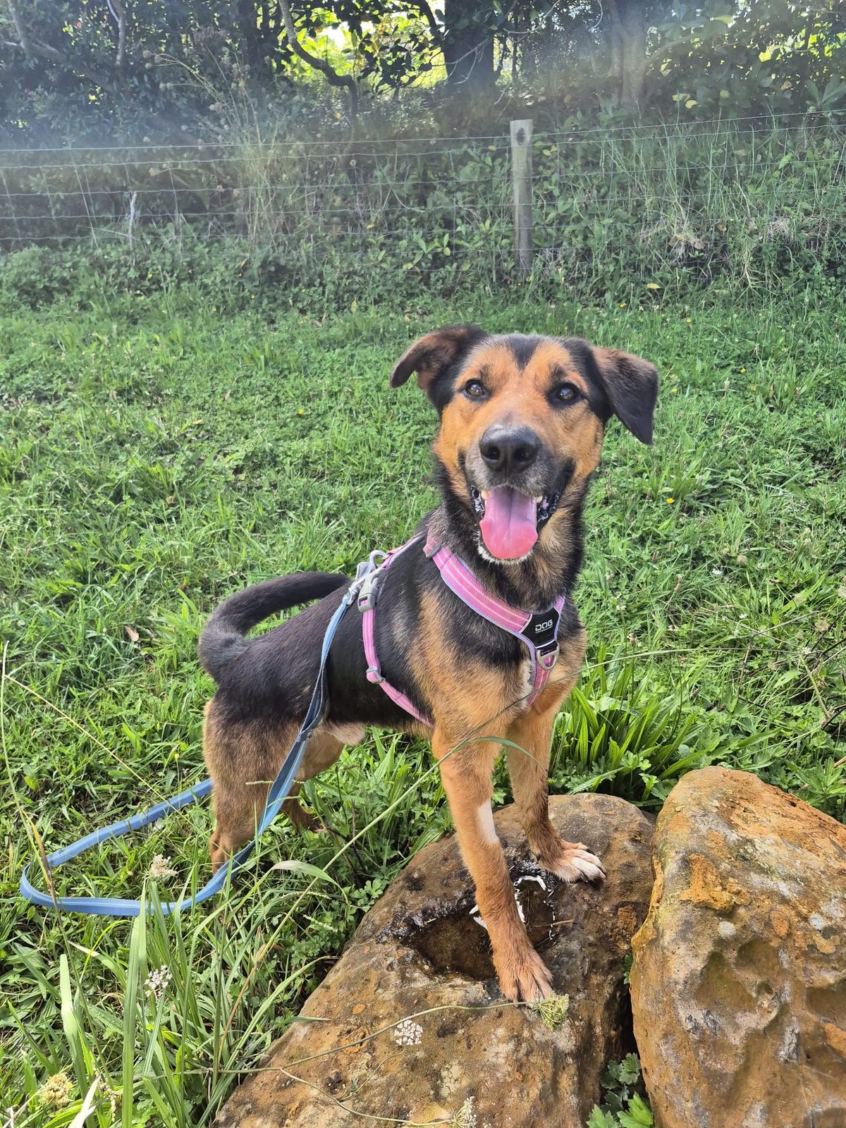 Gallery image: Diego