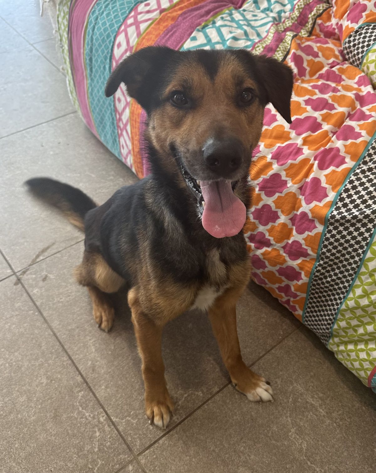 Gallery image: Diego