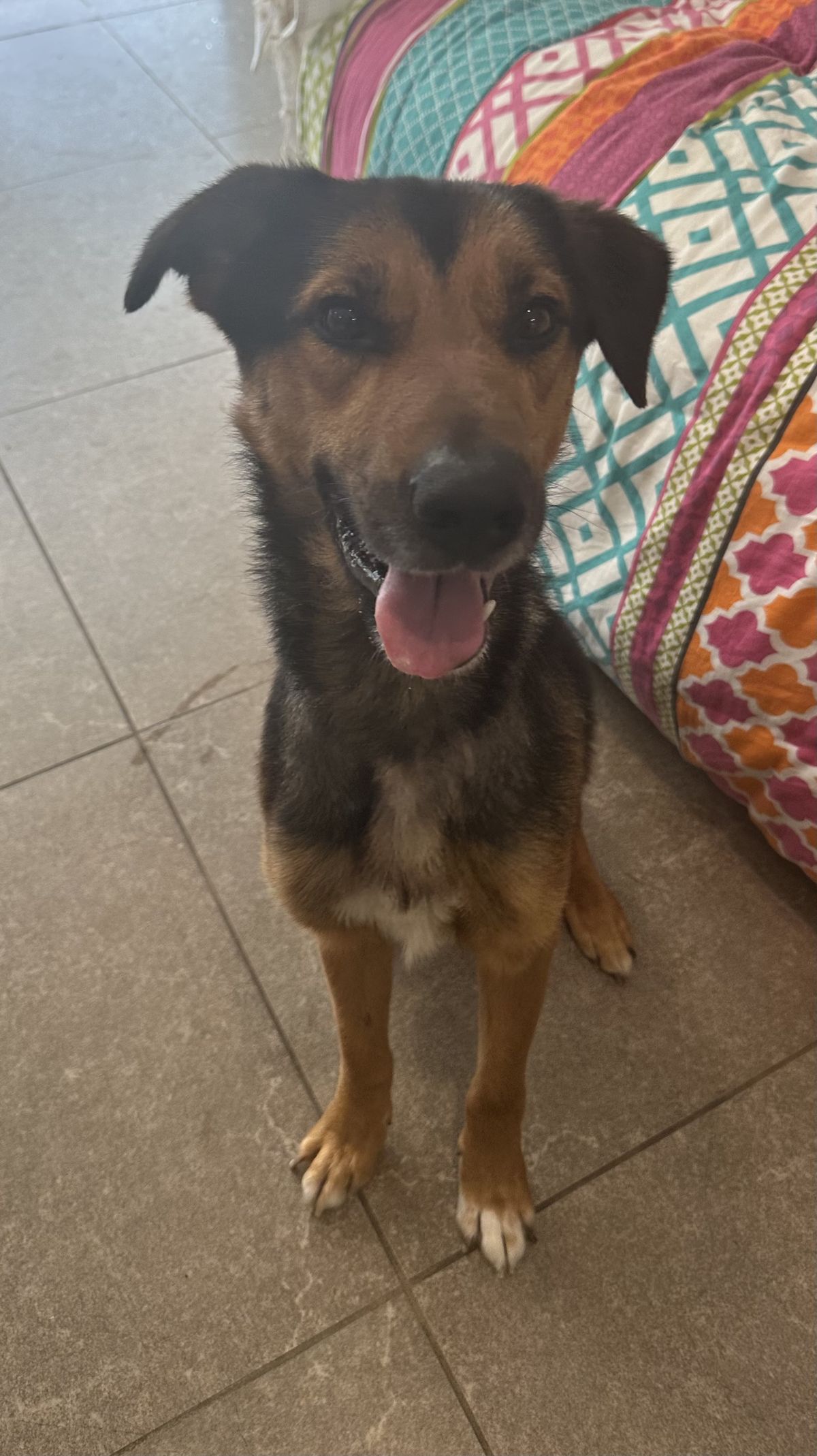 Gallery image: Diego