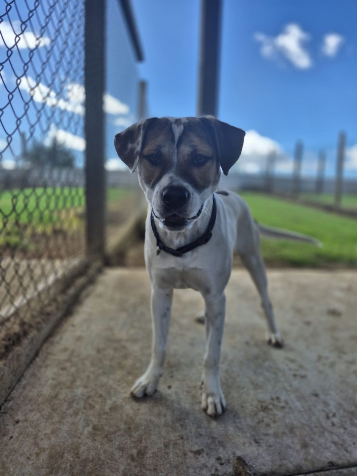 Gallery image: Marley