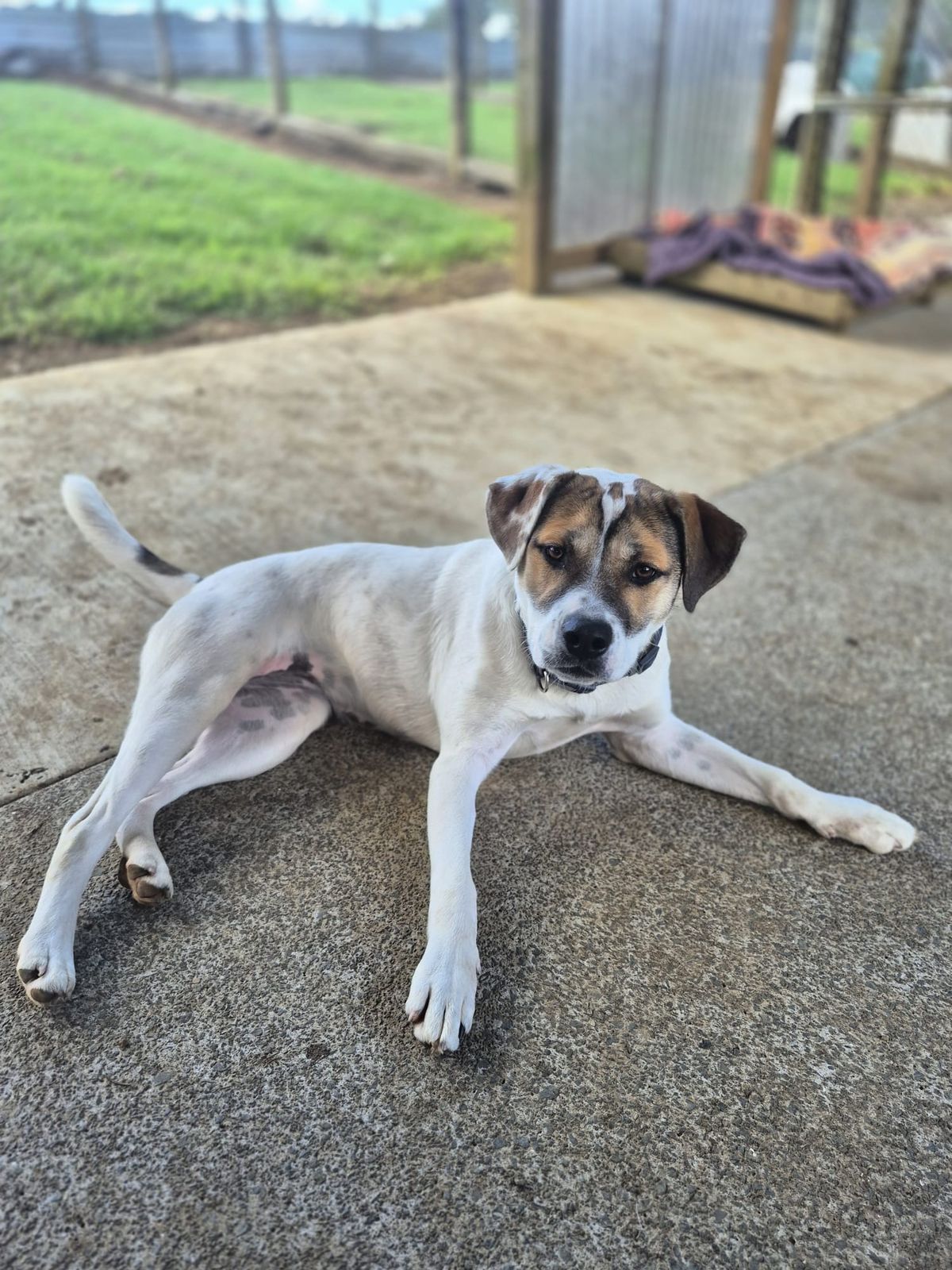 Gallery image: Marley