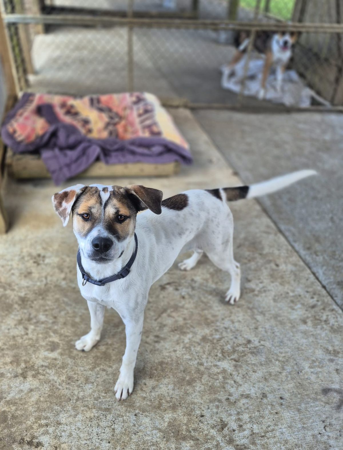 Gallery image: Marley