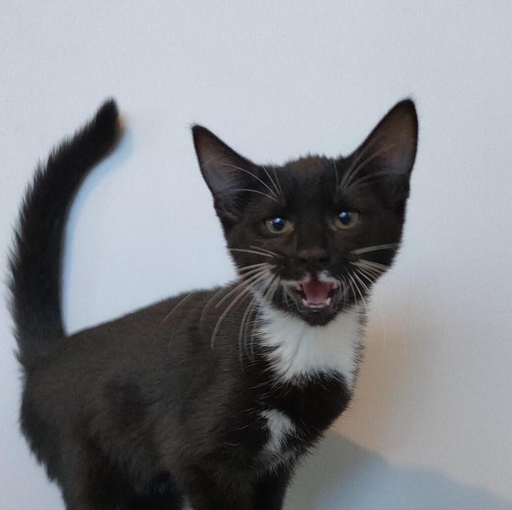 Gallery image: Caroline