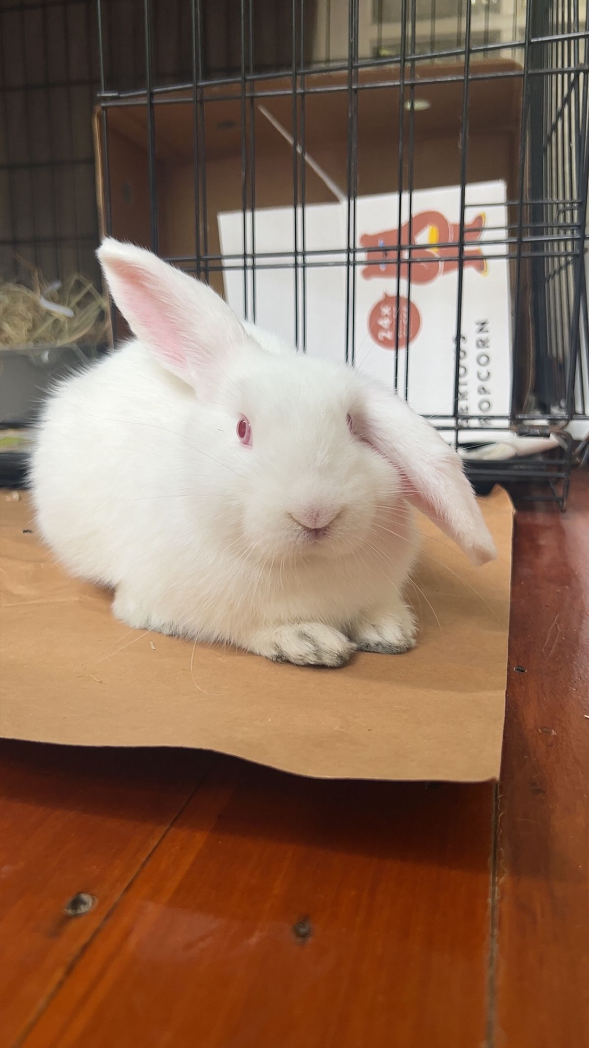 Gallery image: Avery