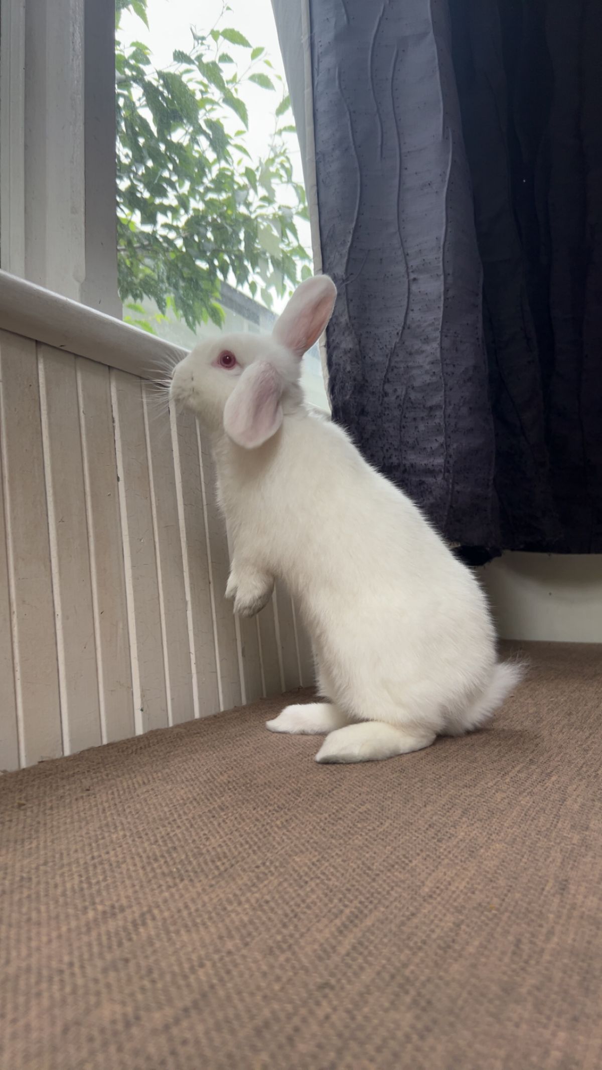 Gallery image: Avery