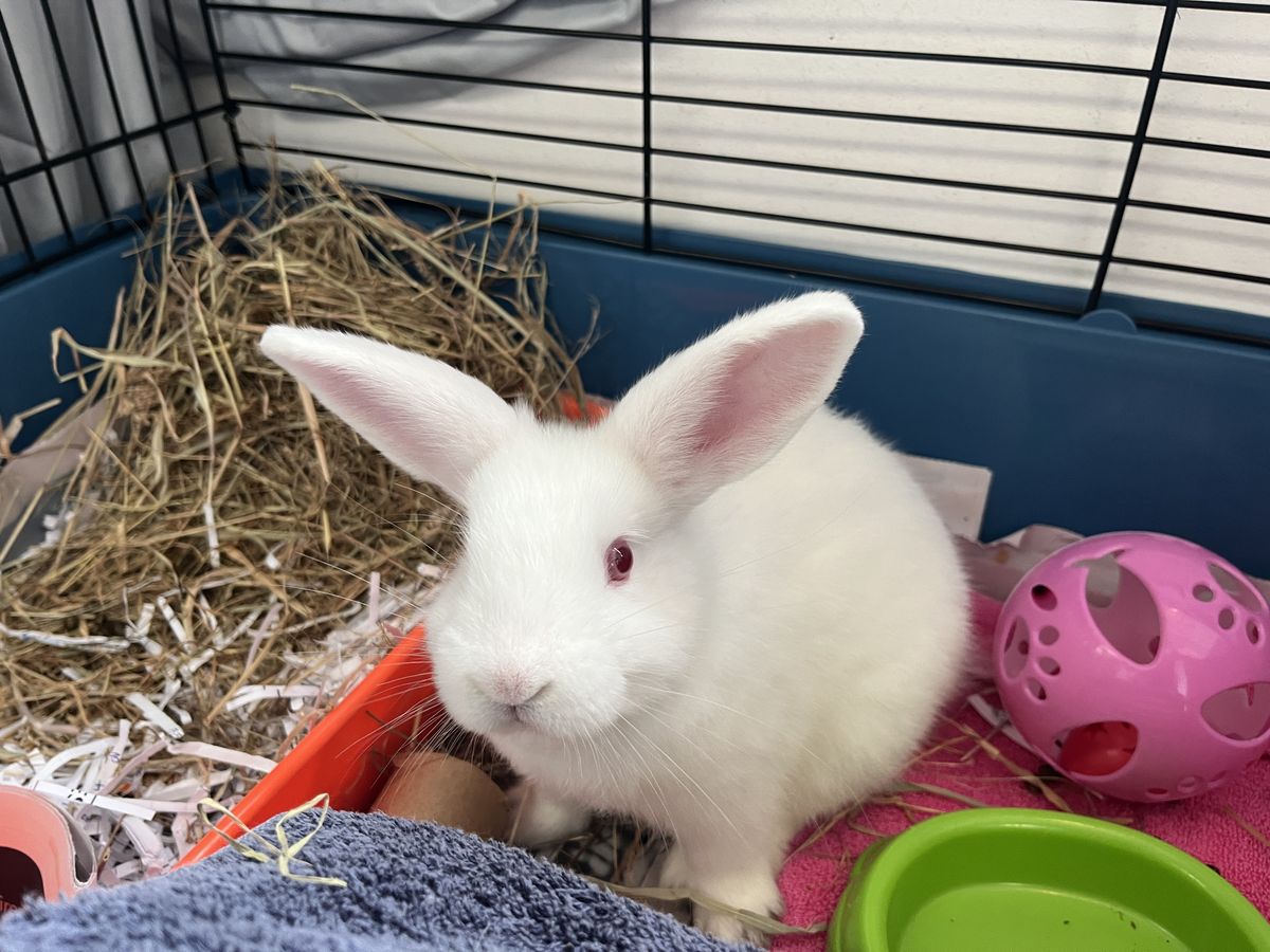 Gallery image: Avery