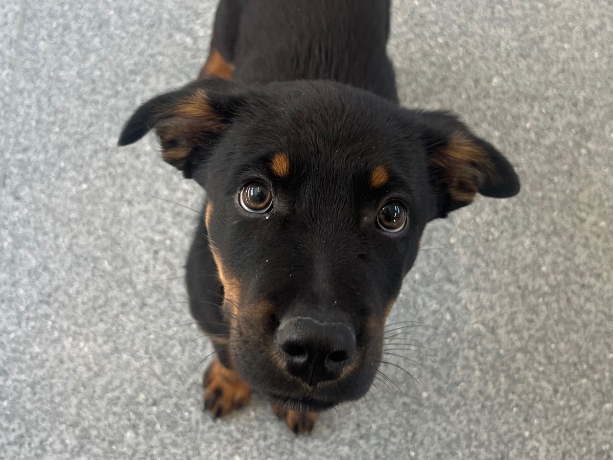 Gallery image: Guiness