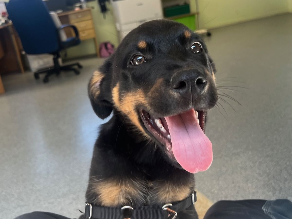 Gallery image: Guiness