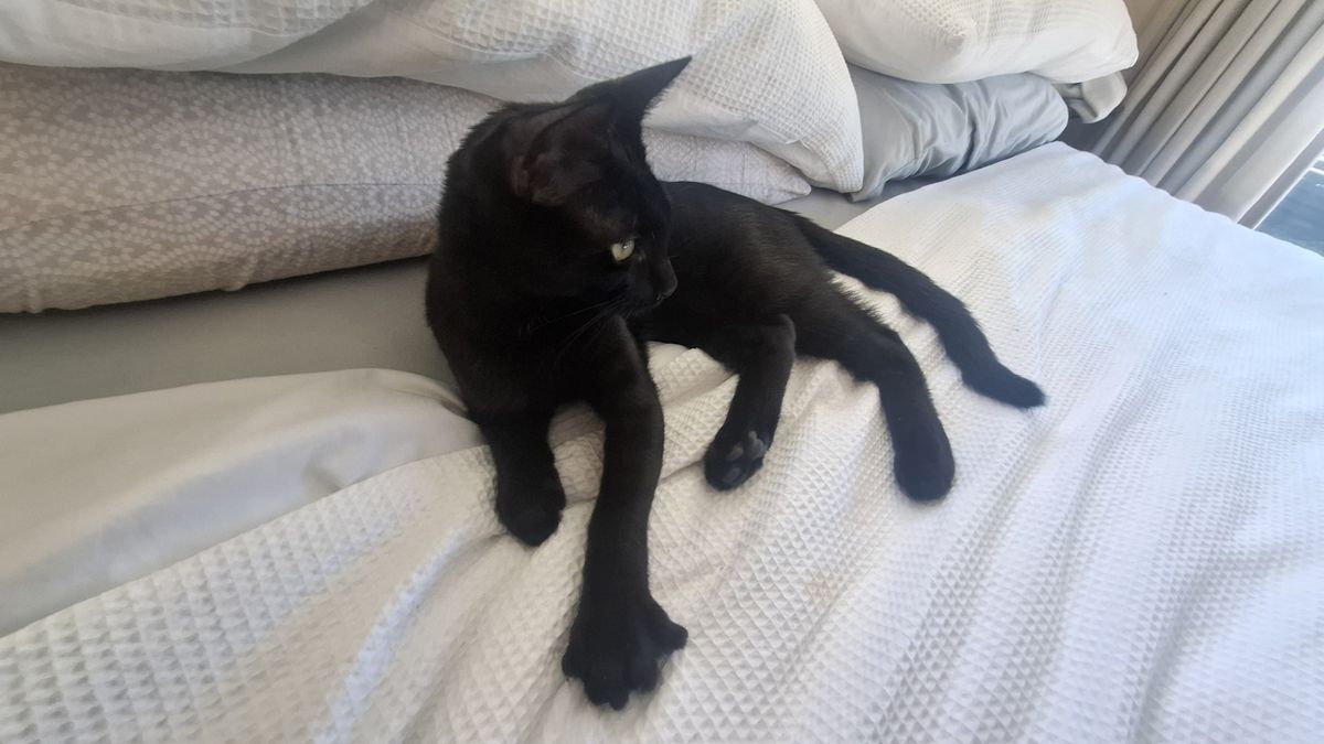 Gallery image: Garamond