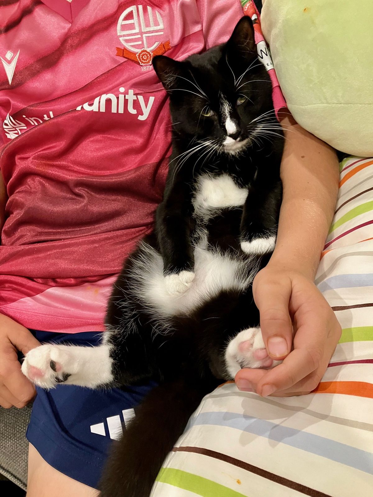 Gallery image: Trevor