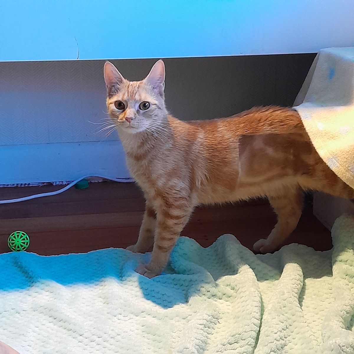 Gallery image: Millie