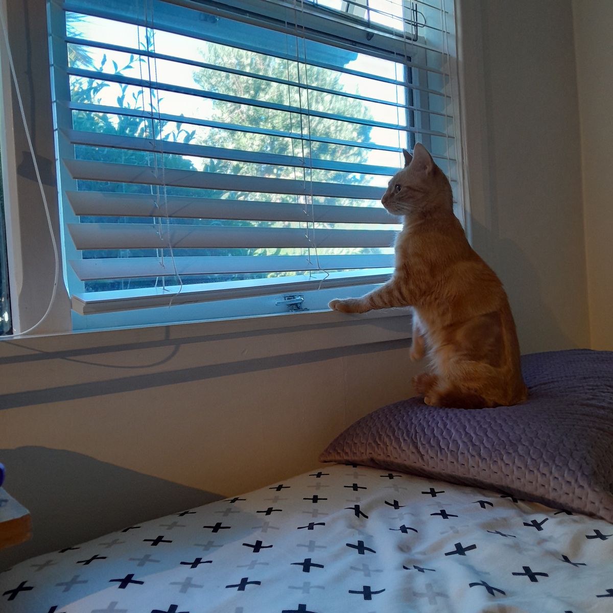 Gallery image: Millie