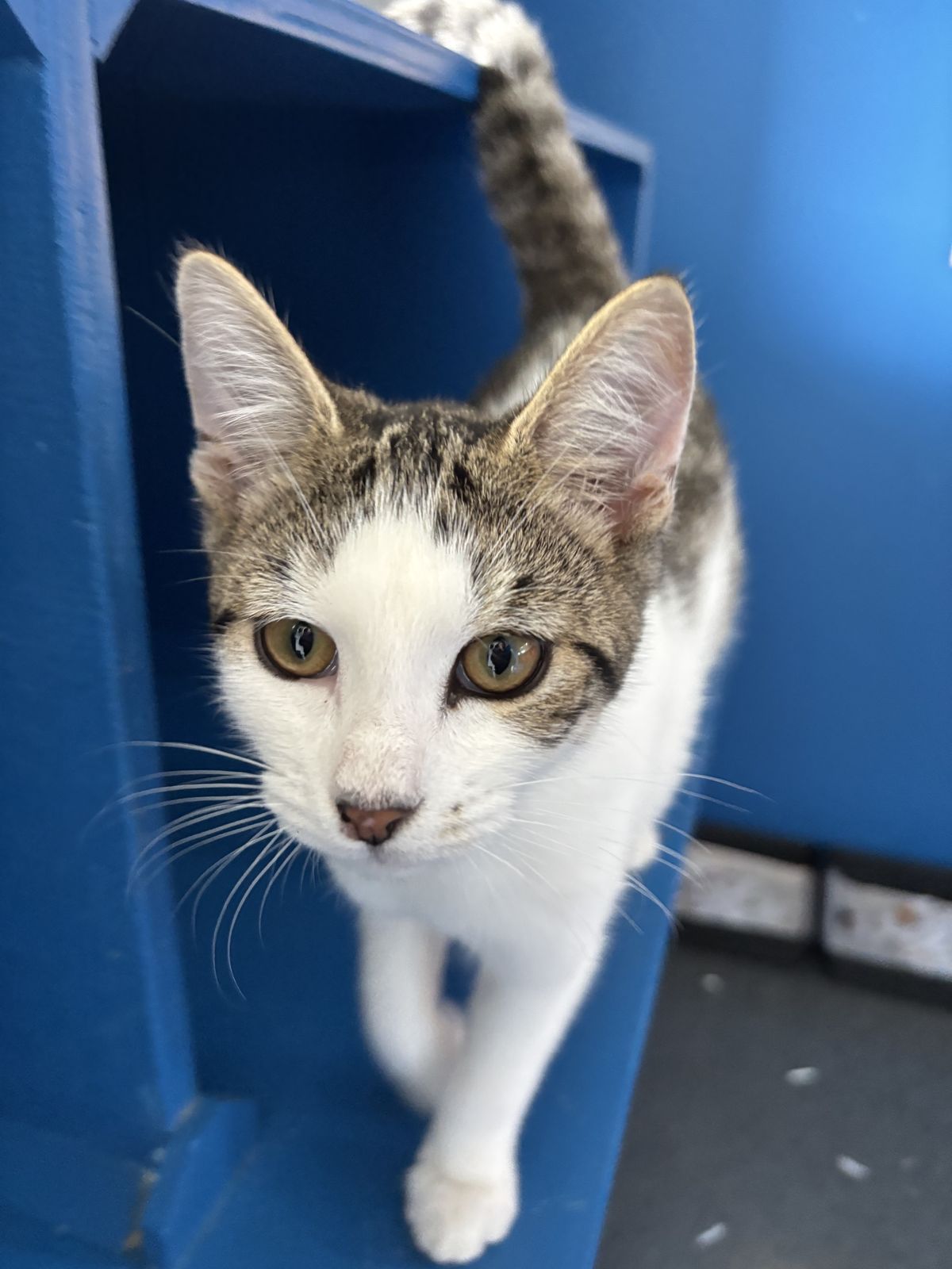 Gallery image: Poppin