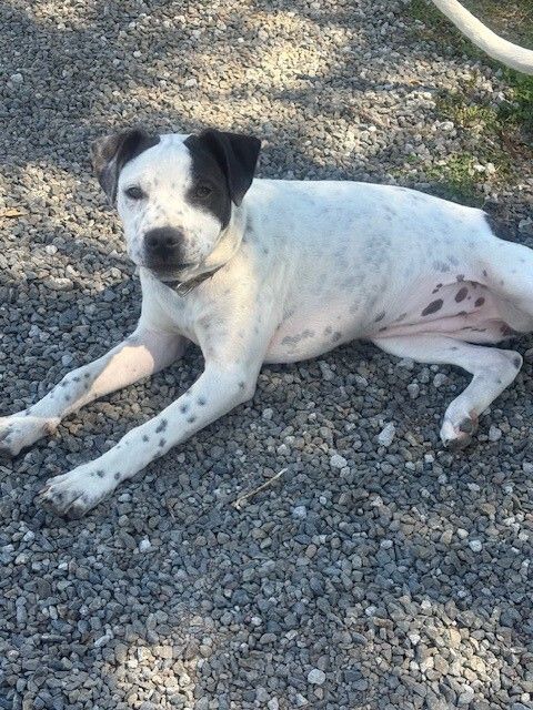 Gallery image: Coco Chanel