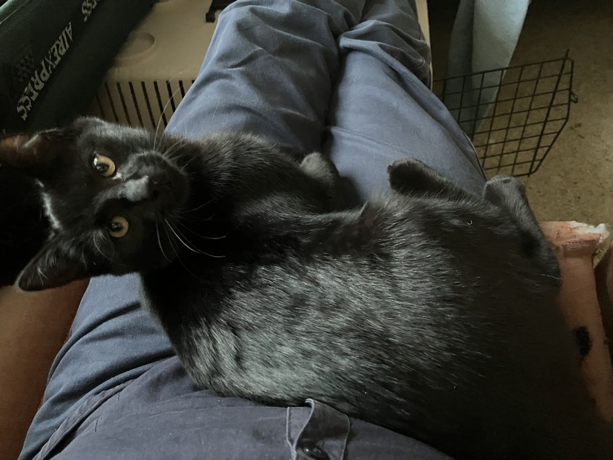 Gallery image: Stephanie Brown