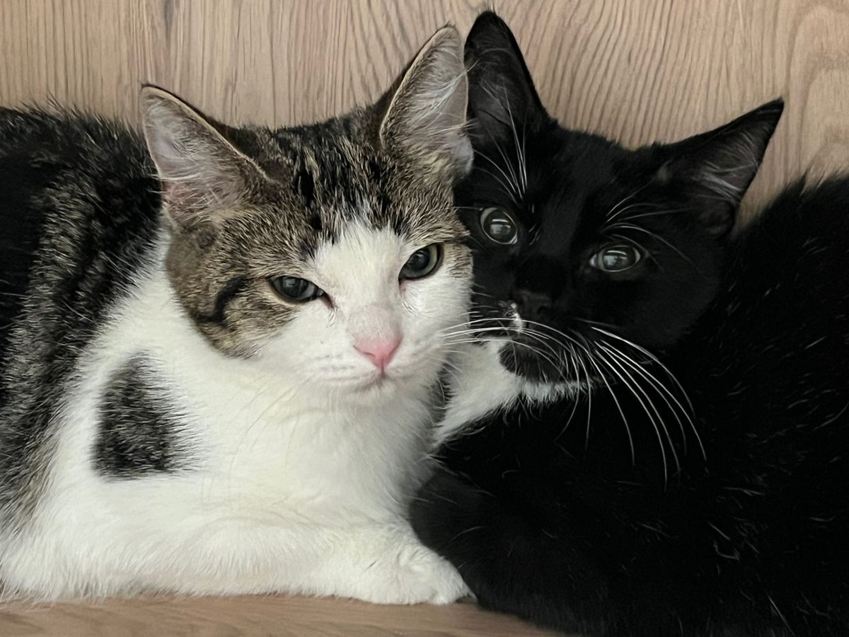 Gallery image: Louise