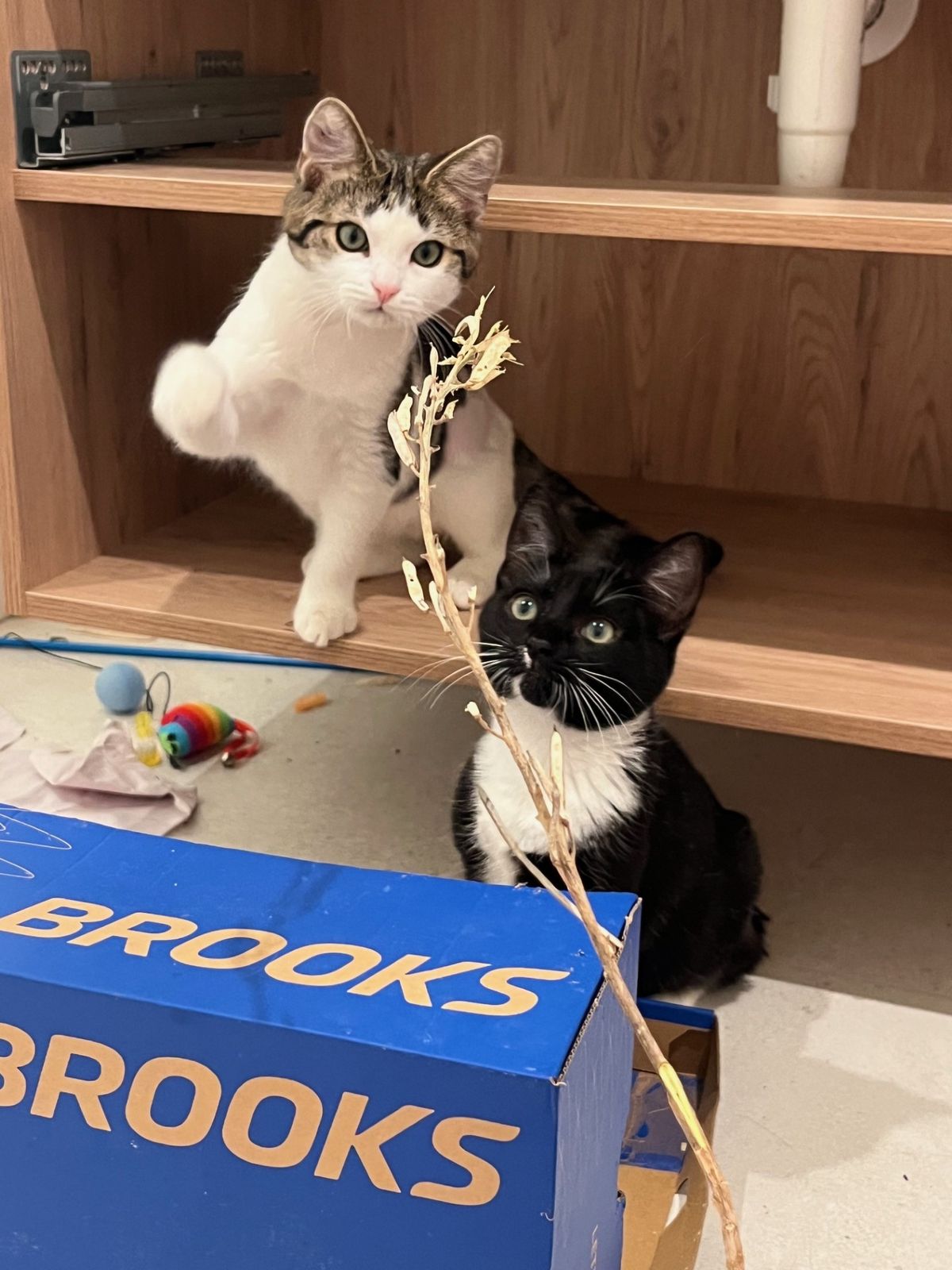 Gallery image: Louise