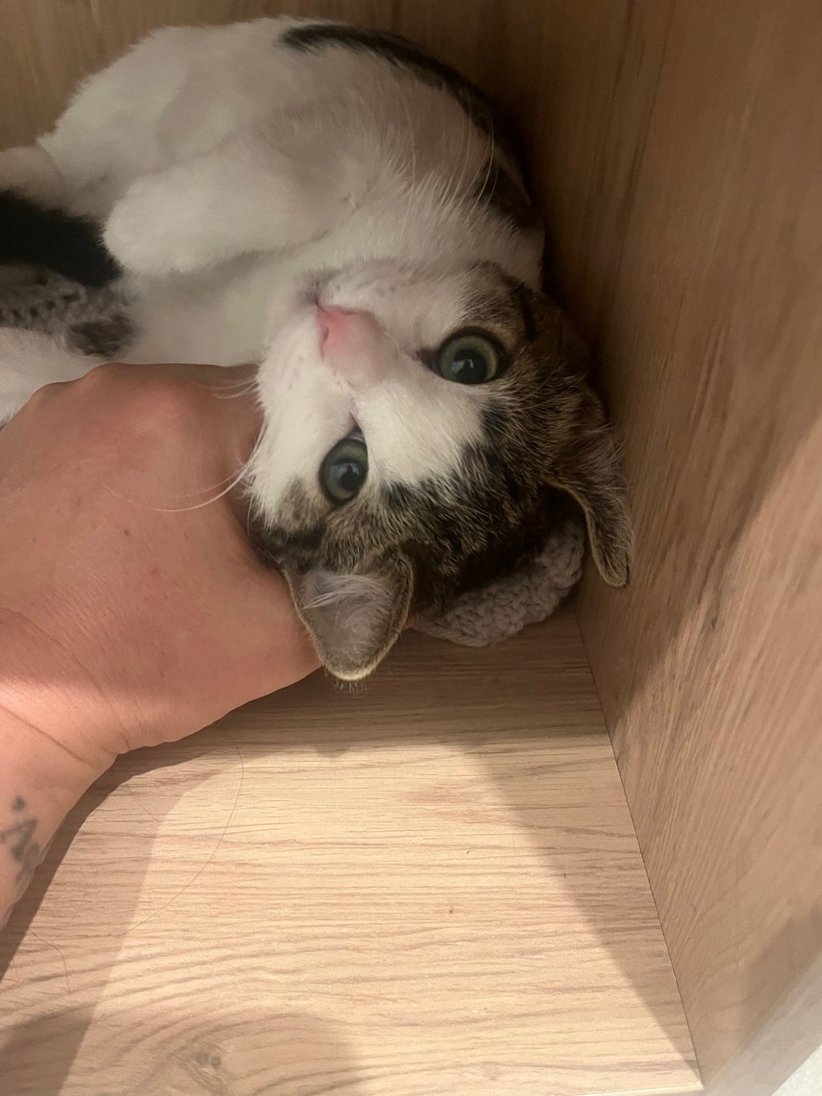 Gallery image: Louise