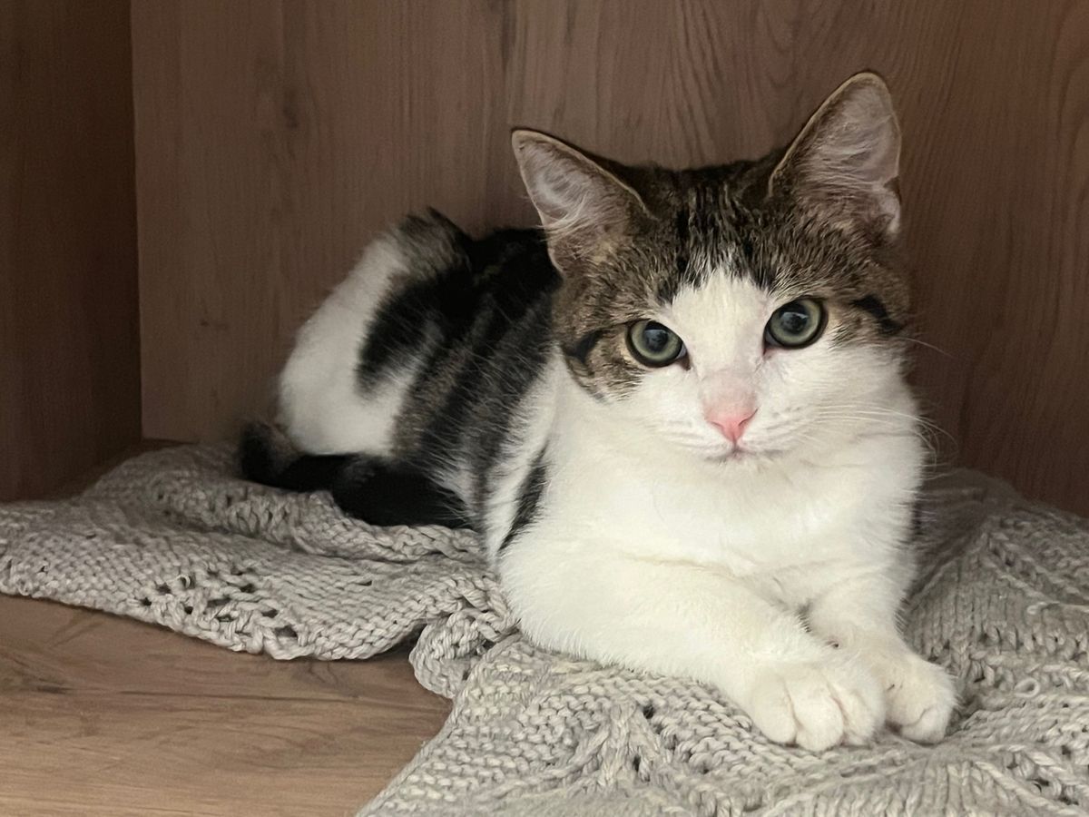 Gallery image: Louise