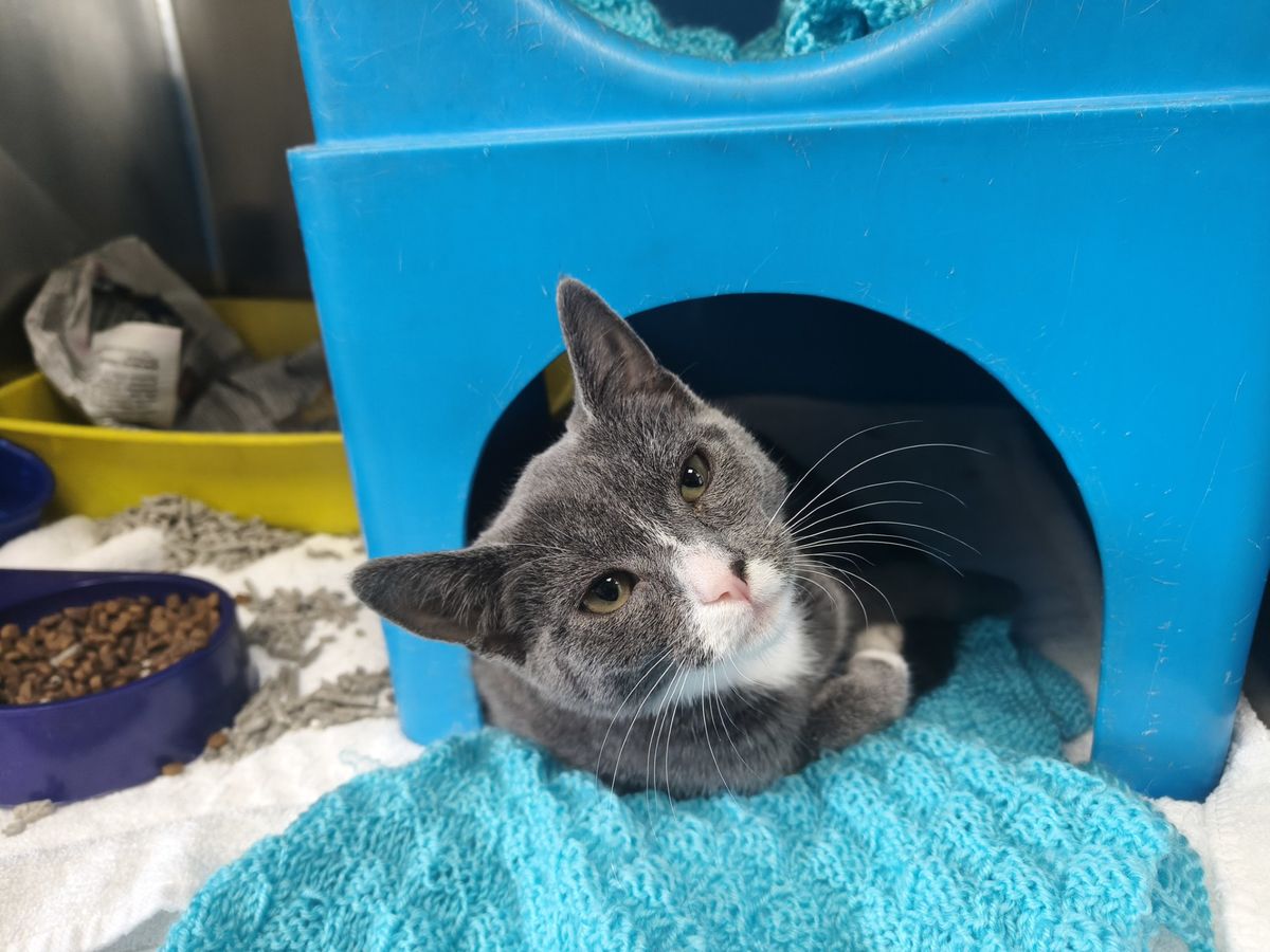 Gallery image: Sandy