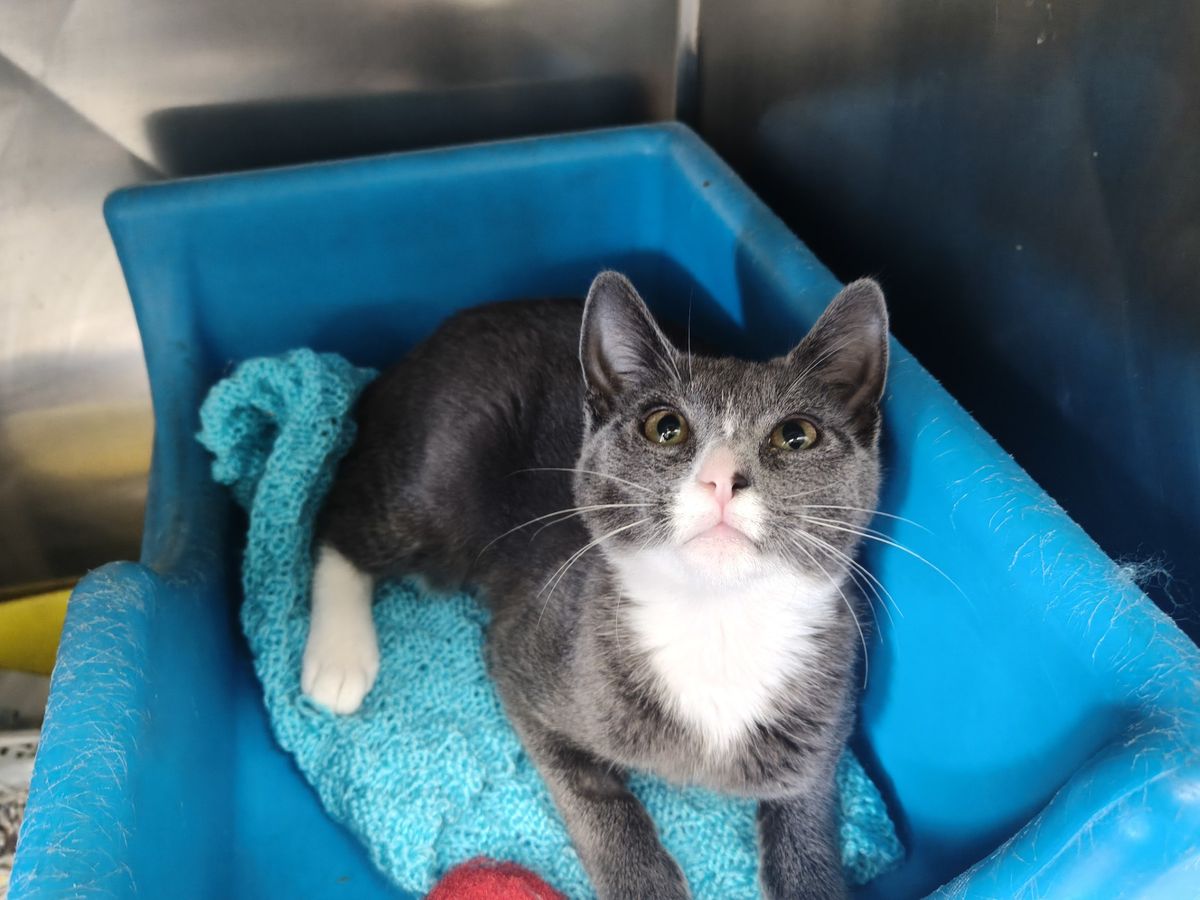 Gallery image: Sandy