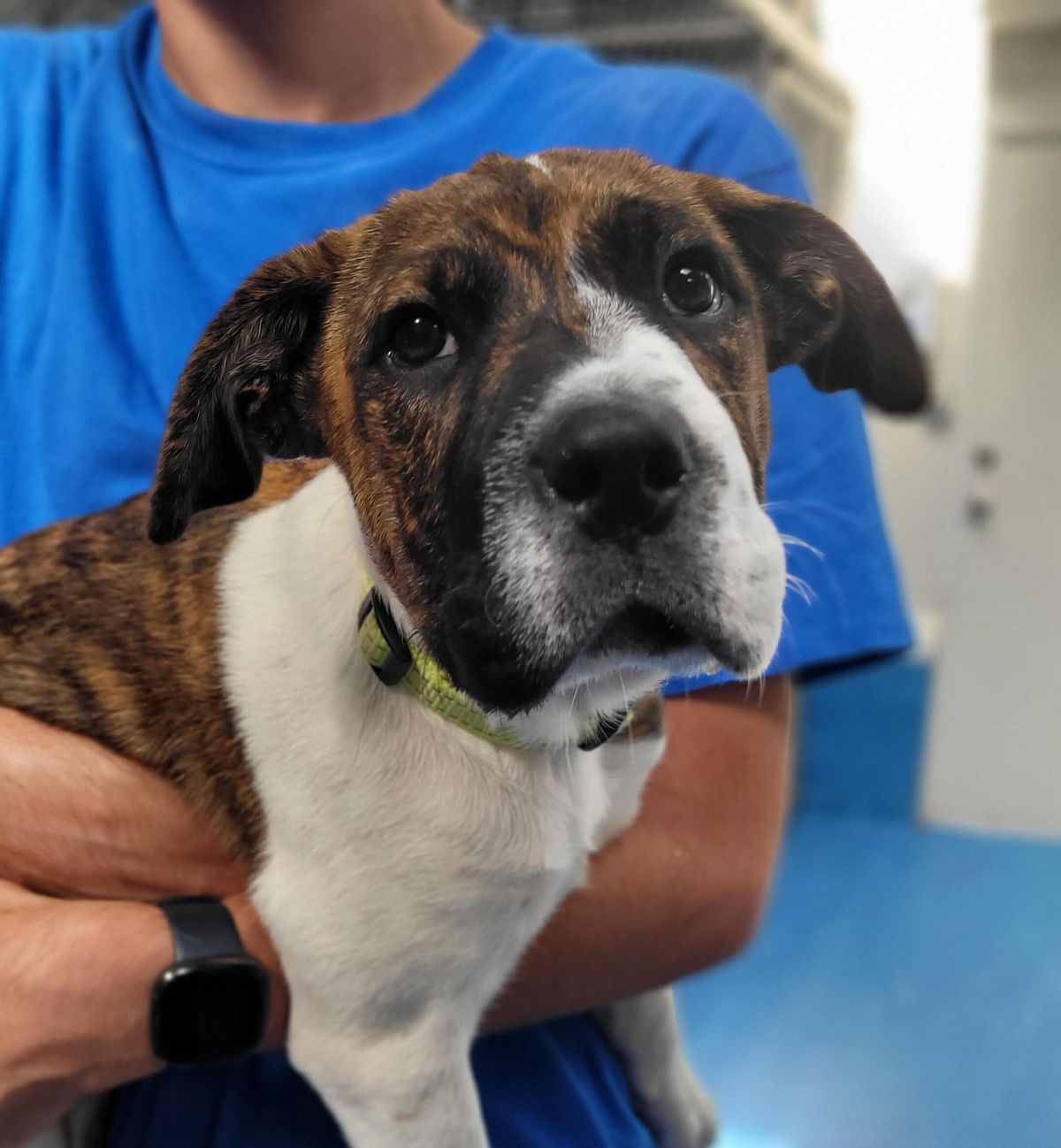 Gallery image: Bingo