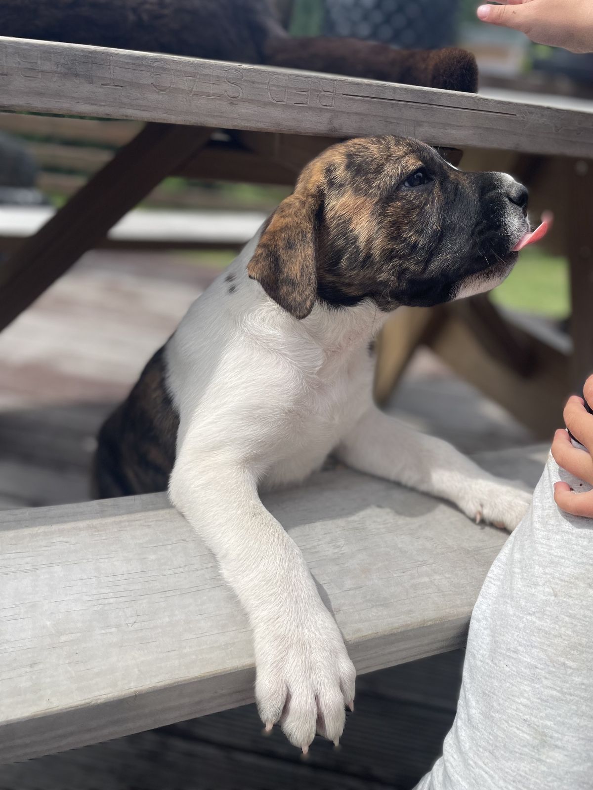 Gallery image: Bingo