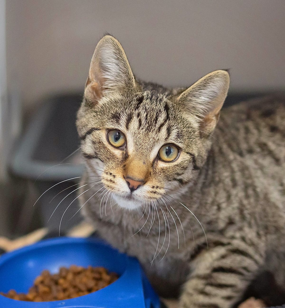 Gallery image: Magnum