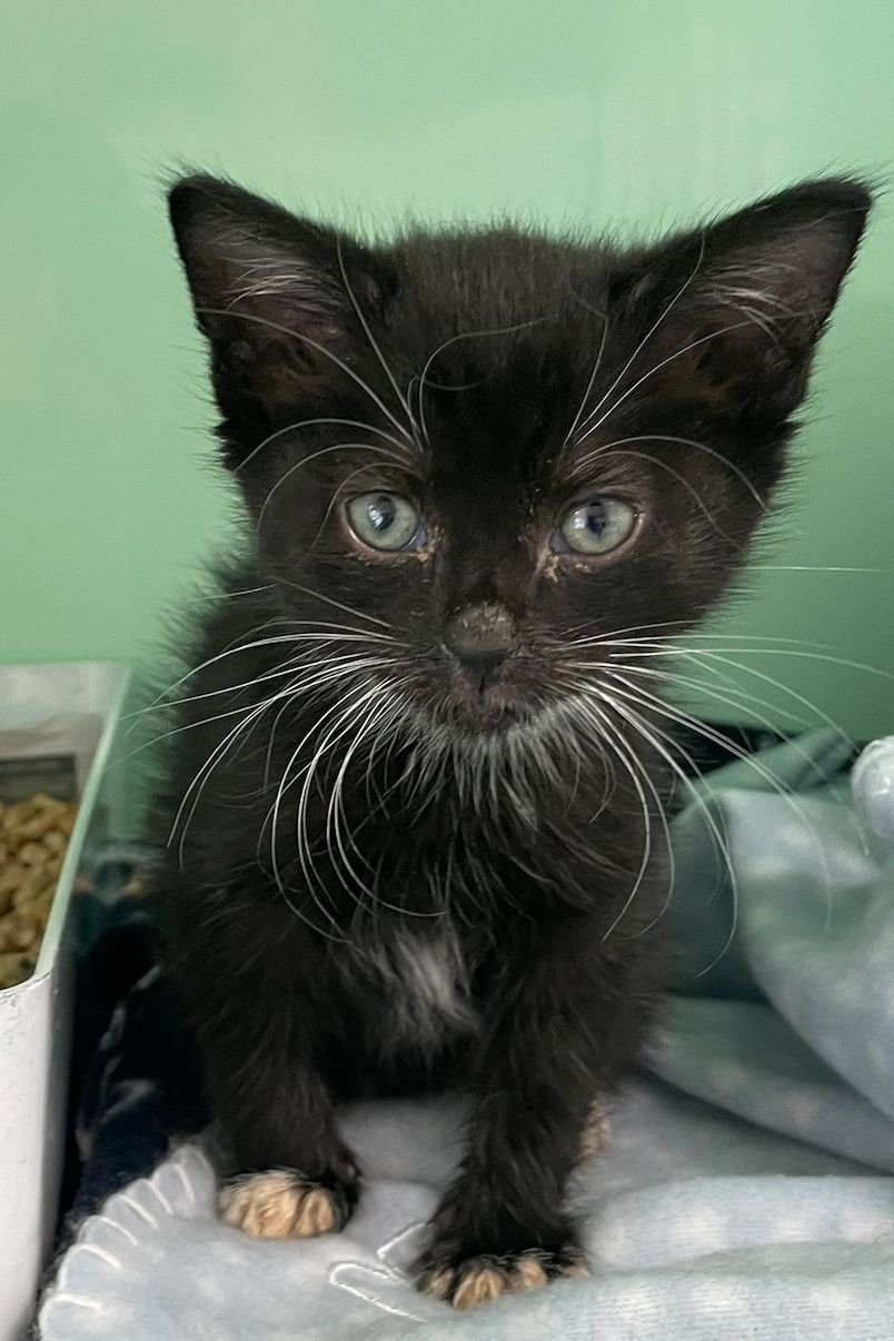 Gallery image: Cheese