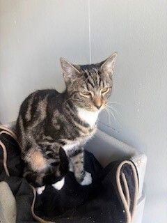 Gallery image: Marvel