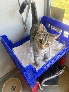 Gallery image: Sleepy