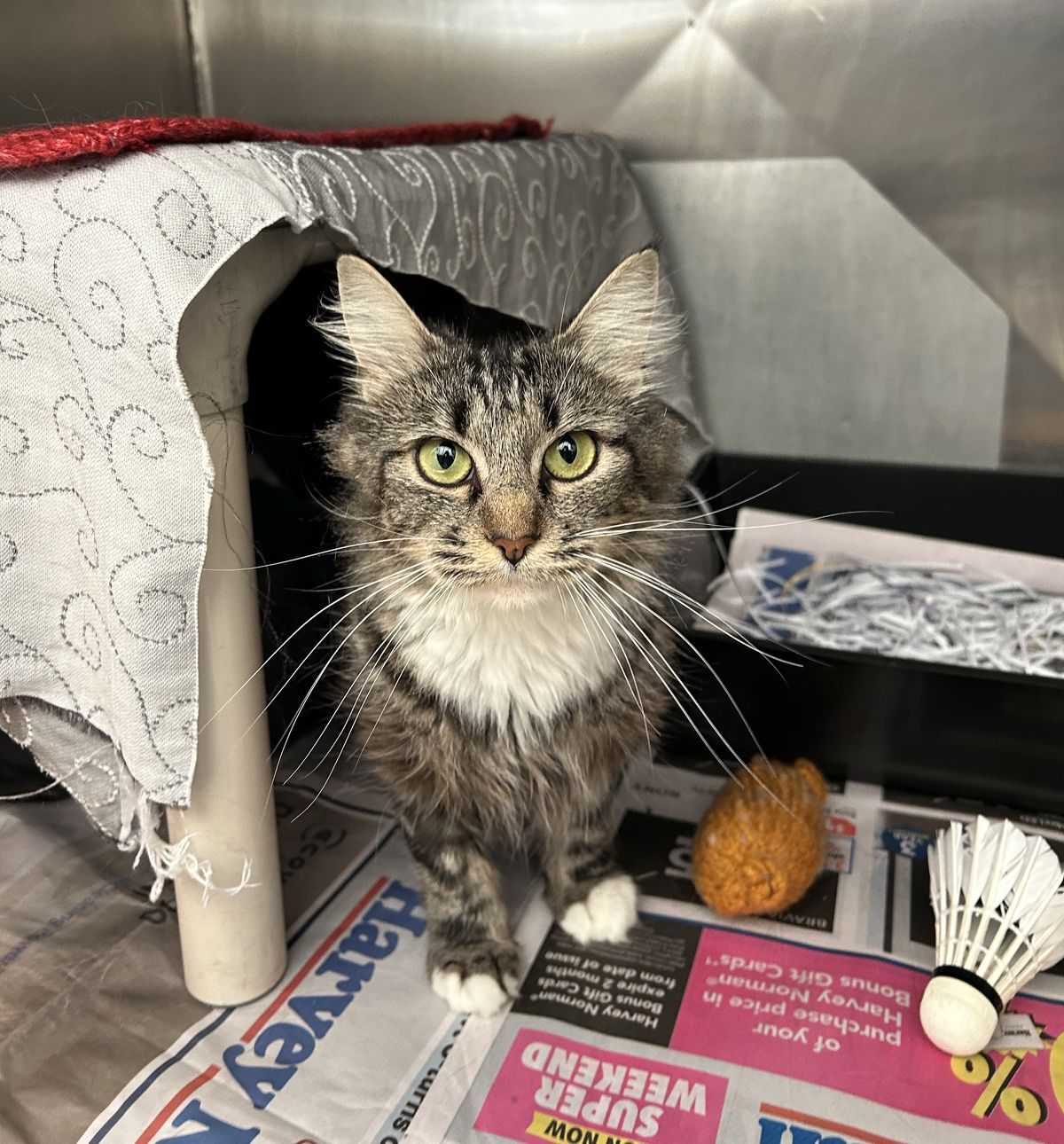 Gallery image: Maria