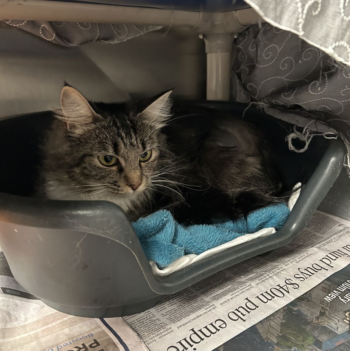 Gallery image: Maria