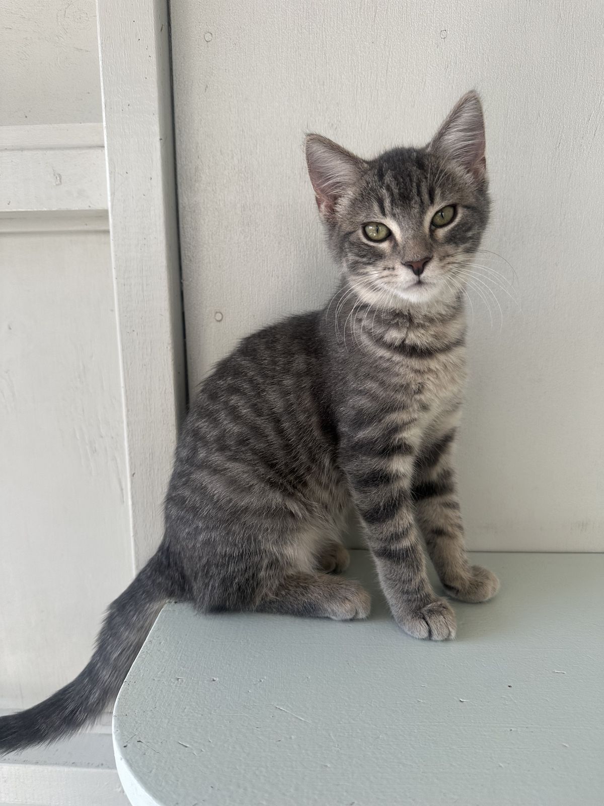 Gallery image: Rocketman 