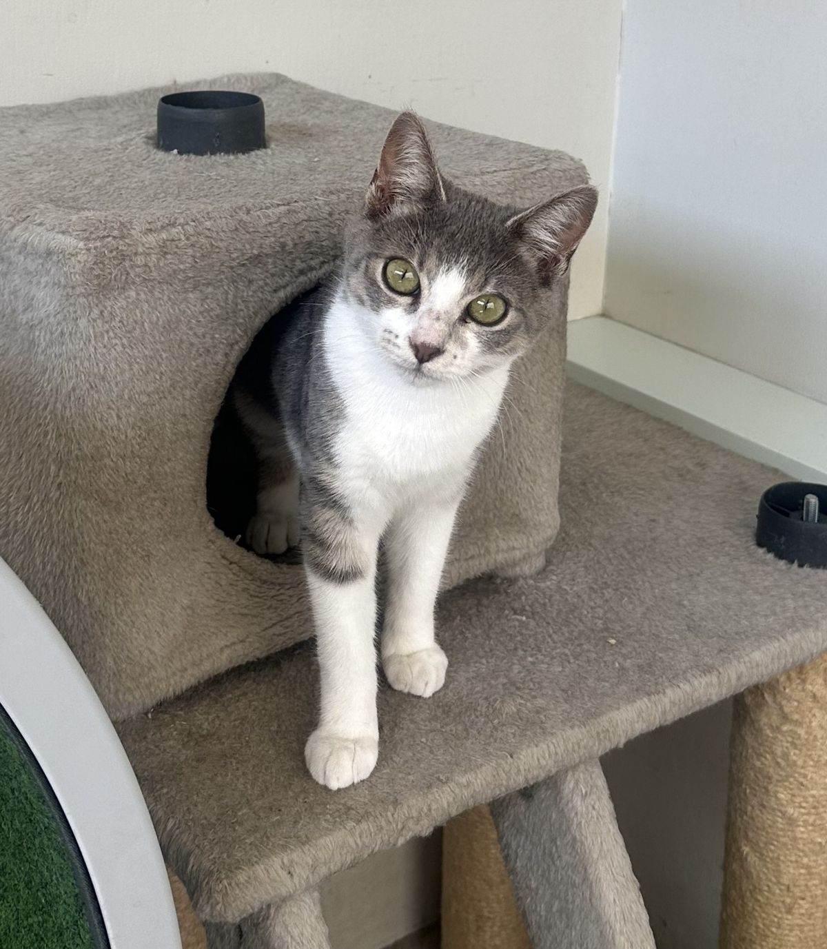 Gallery image: Orbit