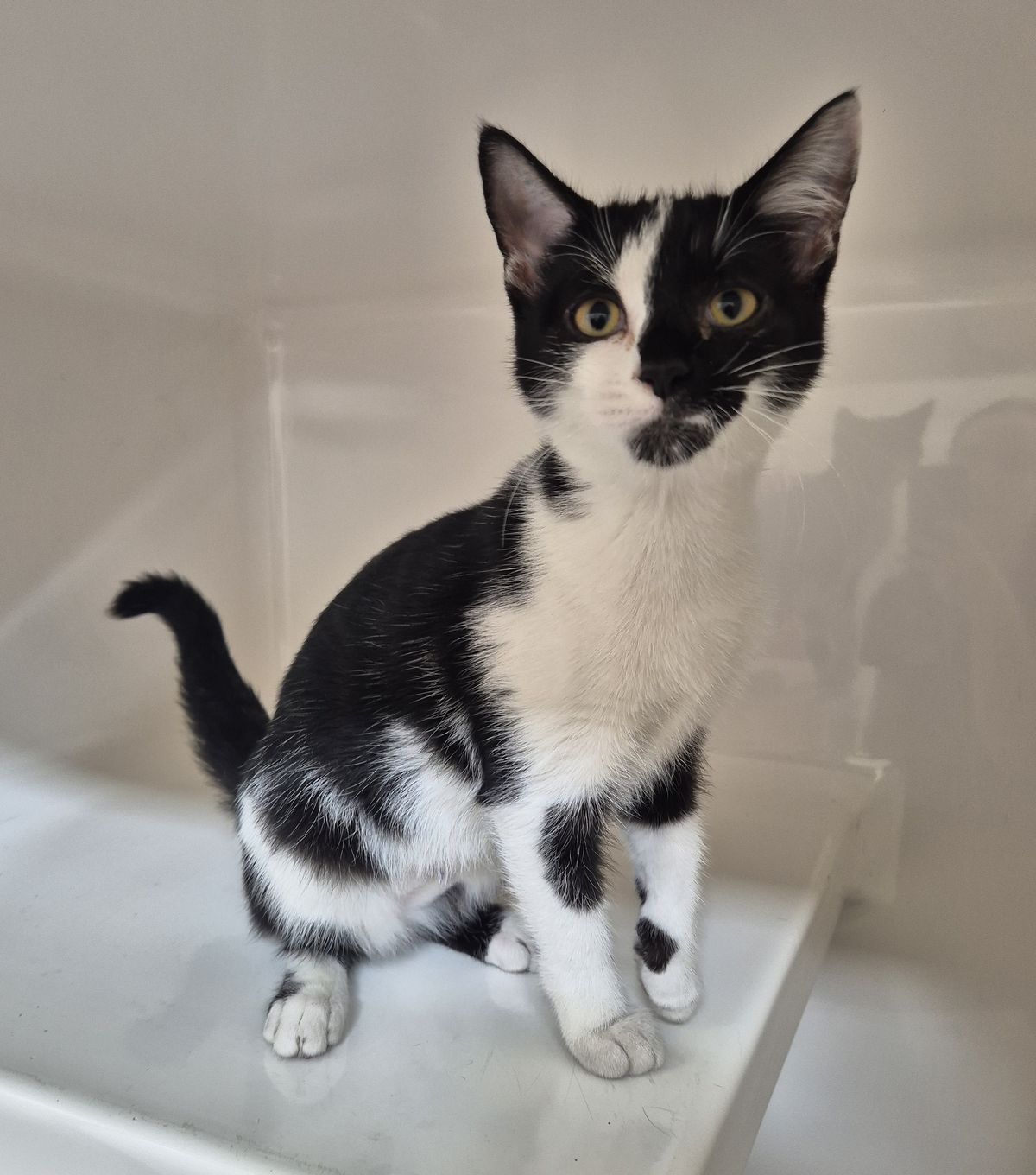 Gallery image: Wendy