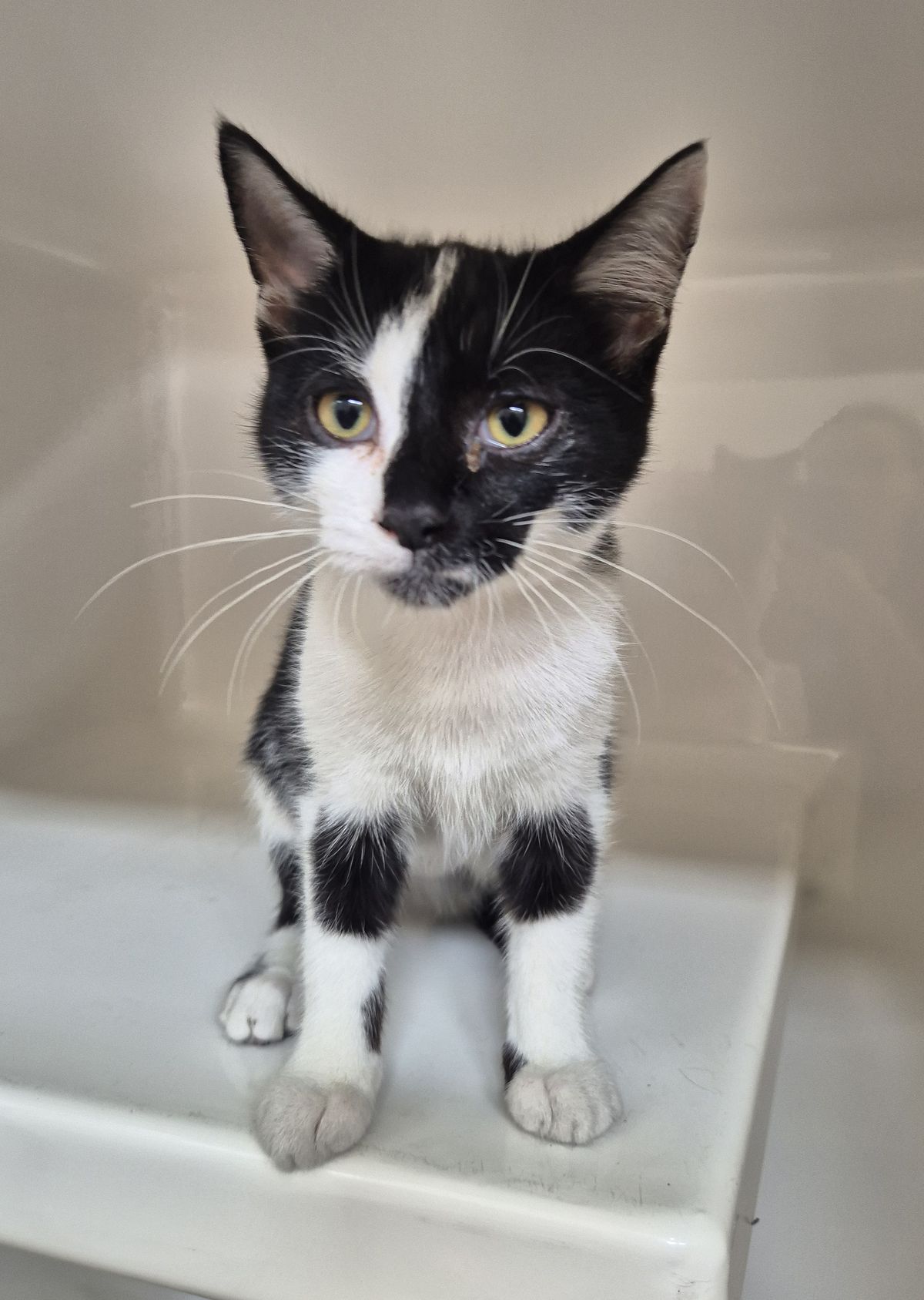 Gallery image: Wendy