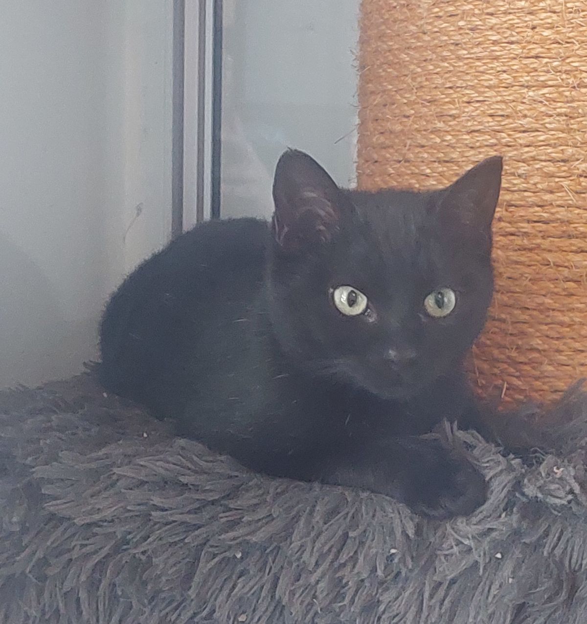 Gallery image: Karen