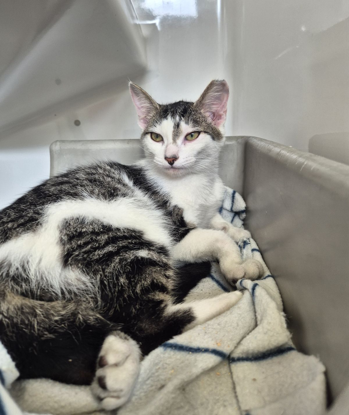 Gallery image: Radley