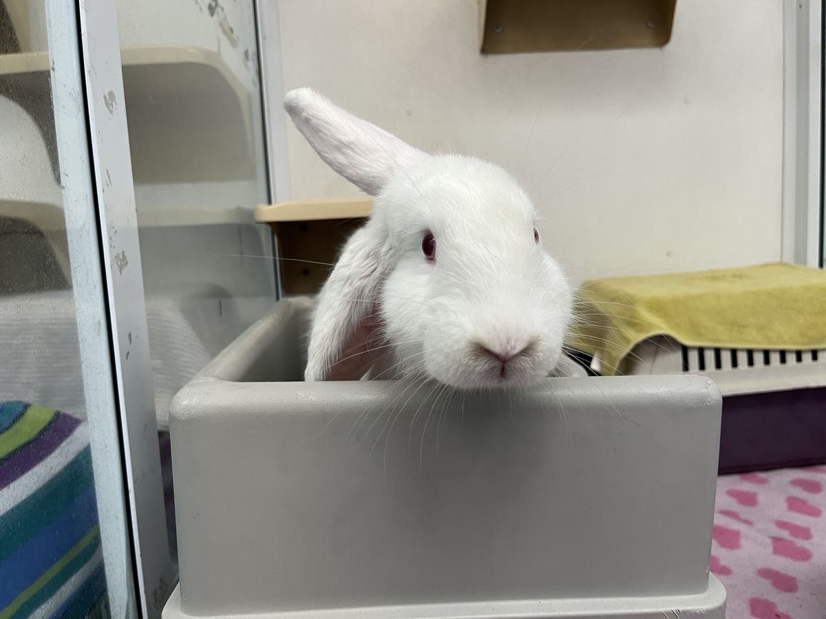 Gallery image: Fjord