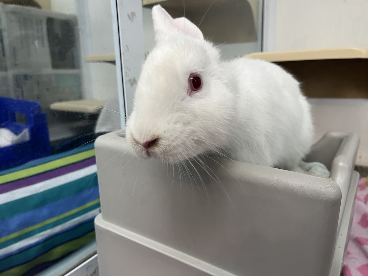 Gallery image: Fjord