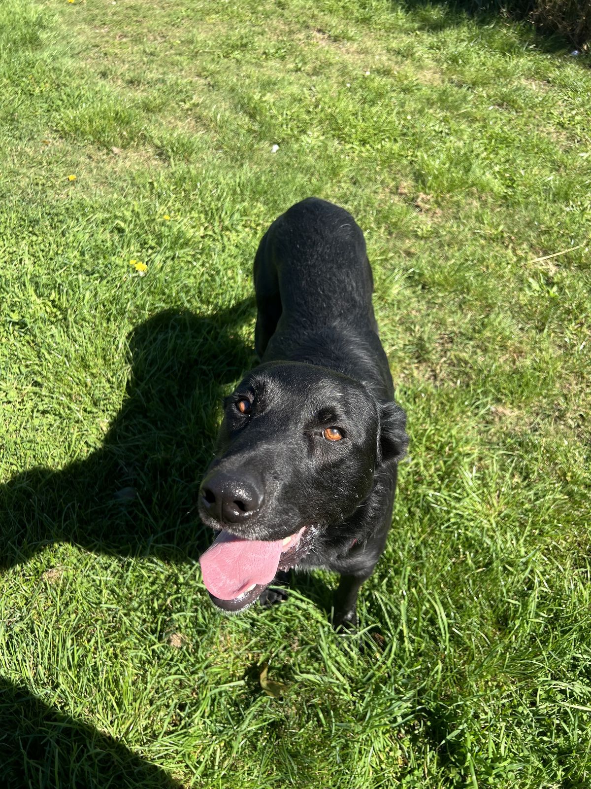 Gallery image: Lucky